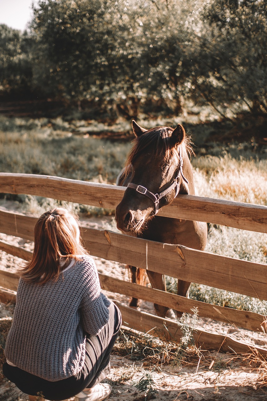 horse, girl, ranch-6735455.jpg